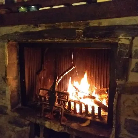 Rustico Tra Gli Ulivi Semesterbostad *