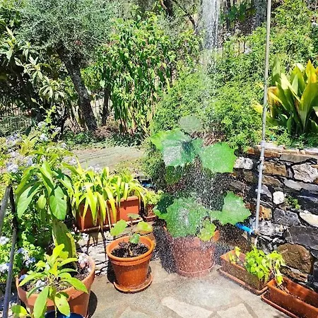 Rustico Tra Gli Ulivi *