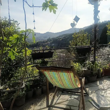 Rustico Tra Gli Ulivi Tatil Evi