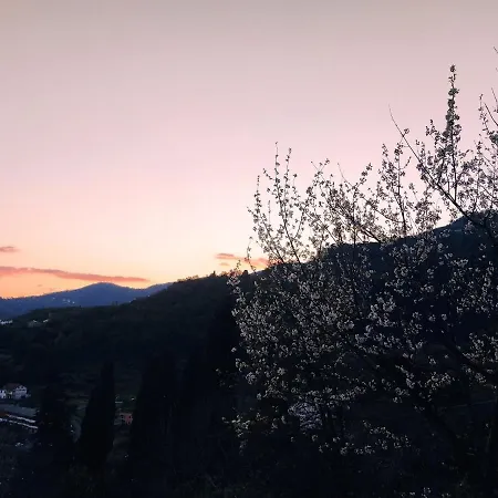 Rustico Tra Gli Ulivi ラッパロ