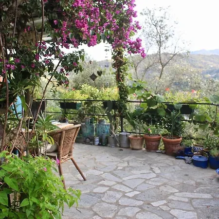 Rustico Tra Gli Ulivi Tatil Evi *