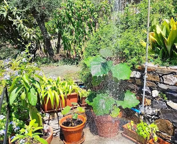 Rustico Tra Gli Ulivi *