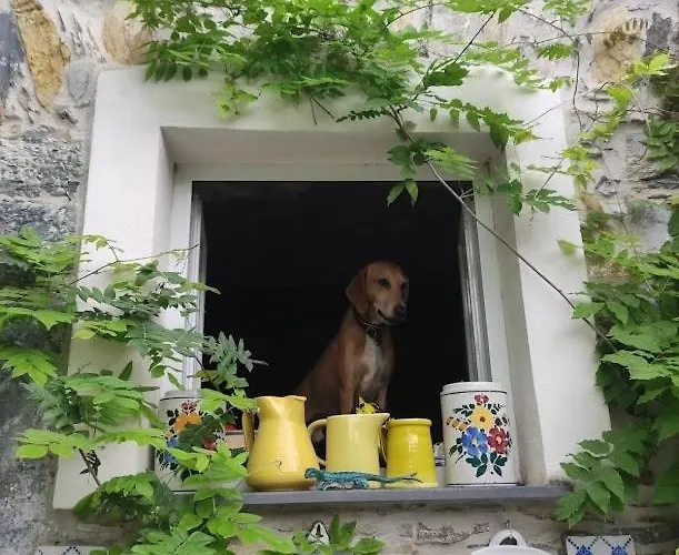 Rustico Tra Gli Ulivi