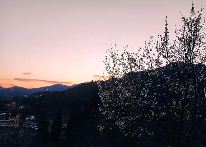 Rustico Tra Gli Ulivi Rapallo